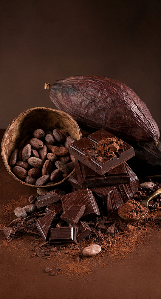 Chocolat & cacao